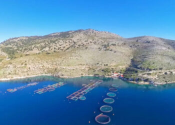 Έναρξη αιτήσεων για το πρόγραμμα «Παραγωγικές επενδύσεις στην υδατοκαλλιέργεια»