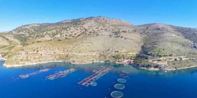 Έναρξη αιτήσεων για το πρόγραμμα «Παραγωγικές επενδύσεις στην υδατοκαλλιέργεια»