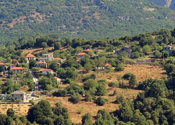 Ν.Ε. ΙΩΑΝΝΙΝΩΝ ΣΥΡΙΖΑ: Τα νομοθετήματα της κυβέρνησης οδηγούν στην εξόντωση των μικρομεσαίων της υπαίθρου