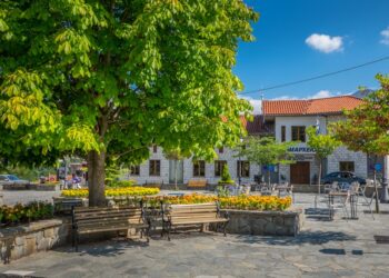 Σεμινάριο της Γαστρονομικής Κοινότητας Δήμου Βορείων Τζουμέρκων