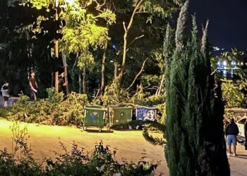 Εν αγνοία του δήμου η κοπή δέντρων γύρω από το πάρκινγκ του θεάτρου της ΕΗΜ