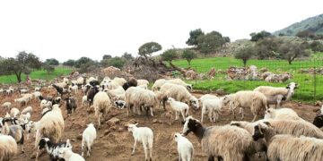 “Καμπανάκι” στον πρωτογενή τομέα