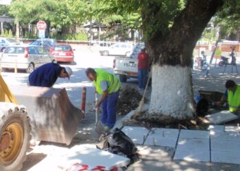Από αδέσποτα μέχρι χαλικοστρώσεις…