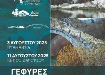  «Γέφυρες Πολιτισμού Τζουμέρκα – Ζαγόρι»
