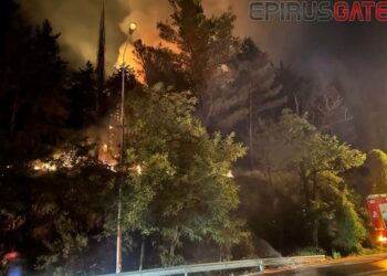 Πυρκαγιά απείλησε, προς στιγμήν, τους Λιγκιάδες
