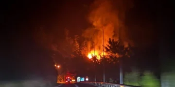 Το Δασαρχείο ολοκληρώνει  μελέτη καθαρισμού για το δάσος των Λιγκιάδων από το πρόγραμμα antinero