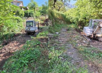 Όλα καλώς καμωμένα με τον βιολογικό στο Μικρό Πάπιγκο, σύμφωνα με τον Περιφερειάρχη