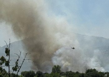 Ο Δήμος ευχαριστεί όσους συνέδραμαν στην κατάσβεση