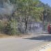 Τέσσερις πυρκαγιές σε μια μέρα στην Ήπειρο, ενδείξεις εμπρησμού σε αυτή στο Γαρδίκι