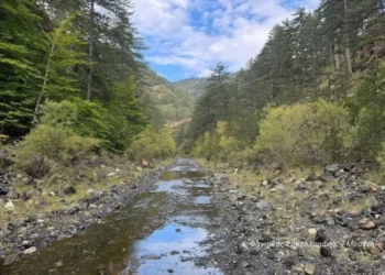 Οικολογική παροχή νερού στον Αώο ζητά ο Γ. Αμυράς