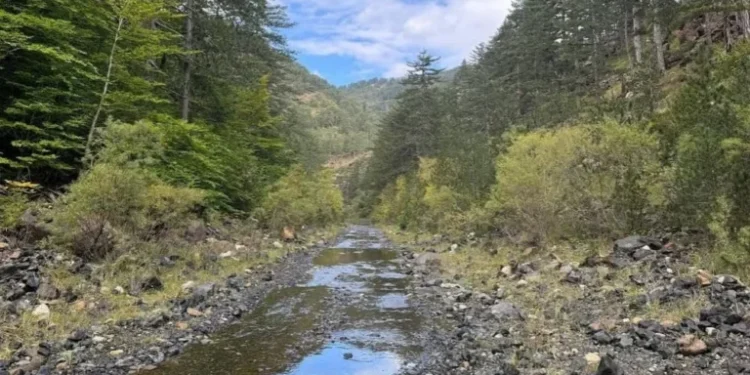 Οικολογική παροχή νερού στον Αώο ζητά ο Γ. Αμυράς