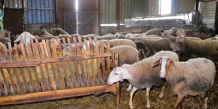 Κριτική στο ΥΠΑΑΤ για καθυστερημένη αντίδραση στην ευλογιά