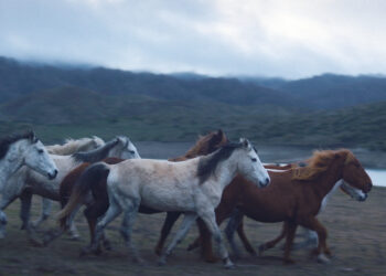 Η ταινία  “Noi” σε ειδική προβολή στο Μέτσοβο