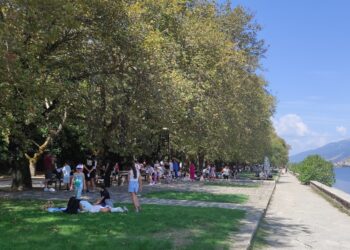 Θ. Μπέγκας: “Το πείραμα πέτυχε”