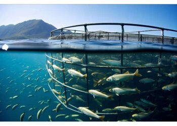Ευοίωνο το 2025 με ενίσχυση εξαγωγών και προοπτικές ανάπτυξης για την ελληνική ιχθυοκαλλιέργεια