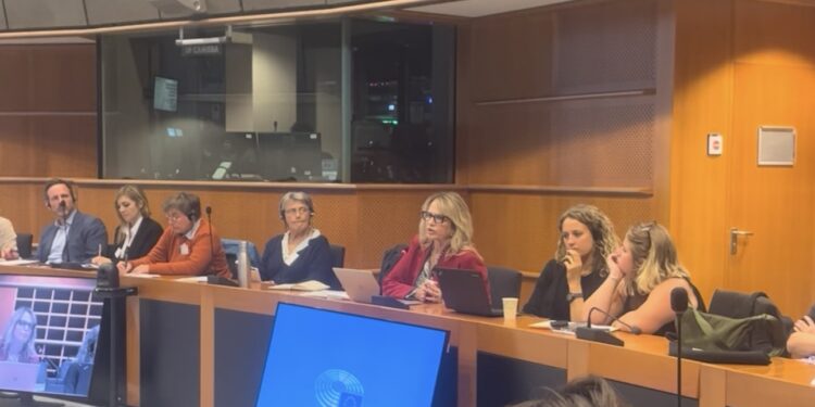 Εμπειρία και προτάσεις από τα Γιάννενα για το μεταναστευτικό-προσφυγικό