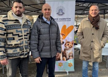 Με επιτυχία η 2η Γιορτή Υιοθεσίας Αδέσποτων, αλλά…