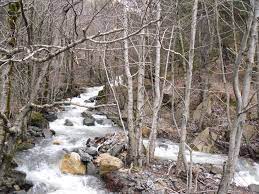 Να ακυρωθεί το ΥΗΕ στον Βάρδα (Δόλιανη) ζητά με αναφορά της στη Βουλή η Μερόπη Τζούφη