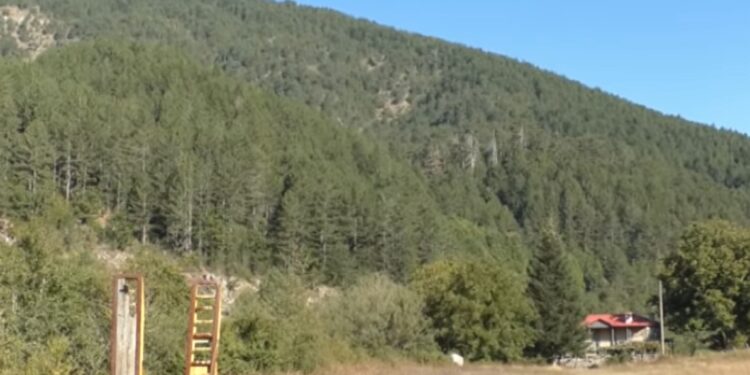 Ένα δάσος που κρύβει τον… θάνατο