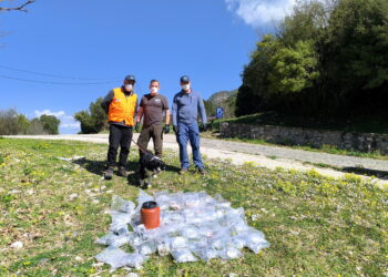 Νεκρά  σκυλιά και κίνδυνος για την άγρια πανίδα τα δηλητηριασμένα δολώματα