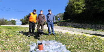 Νεκρά  σκυλιά και κίνδυνος για την άγρια πανίδα τα δηλητηριασμένα δολώματα