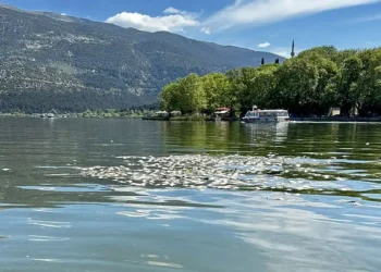 Επιστημονική απάντηση επί των αιτίων