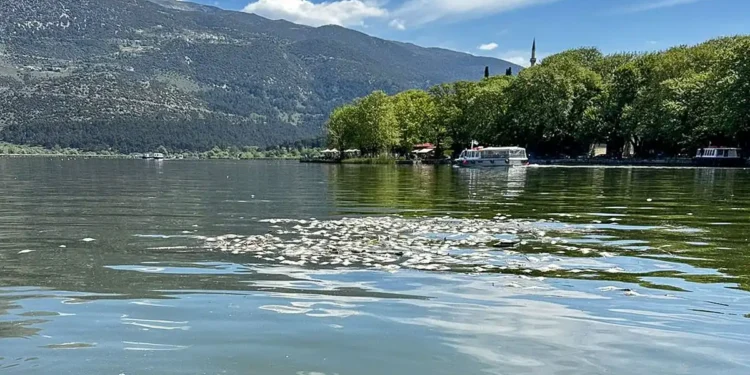 Επιστημονική απάντηση επί των αιτίων