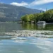 Επιστημονική απάντηση επί των αιτίων