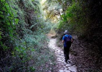 Στον τρίτο μειοδότη τα μονοπάτια σε Ζαγόρι, Μέτσοβο, Κόνιτσα και Πωγώνι