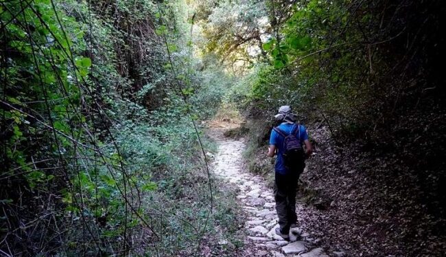 Στον τρίτο μειοδότη τα μονοπάτια σε Ζαγόρι, Μέτσοβο, Κόνιτσα και Πωγώνι