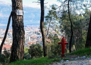 Αυτοψία και απαντήσεις του Δήμου στους κατοίκους της παρόδου Χρ. Σούλη