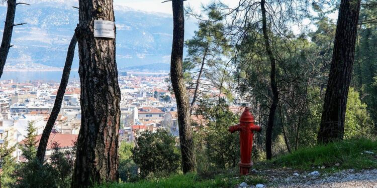 Αυτοψία και απαντήσεις του Δήμου στους κατοίκους της παρόδου Χρ. Σούλη