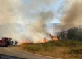 Αντιμετωπίστηκαν άμεσα 4  πυρκαγιές στο λεκανοπέδιο