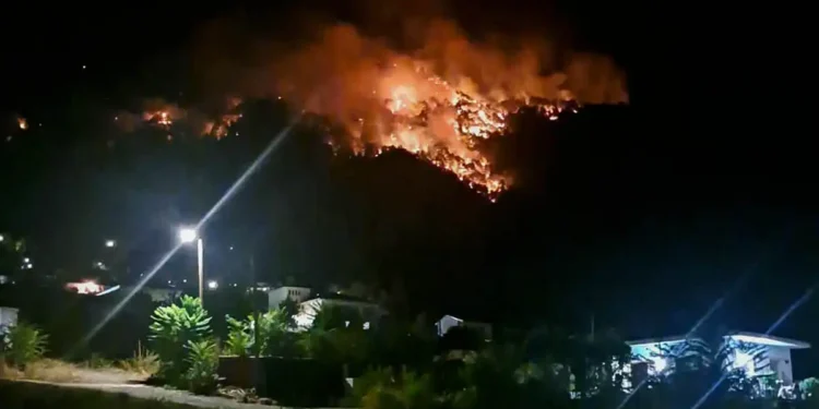 Μια φωτιά στην Κόνιτσα που δεν είχε σβήσει…